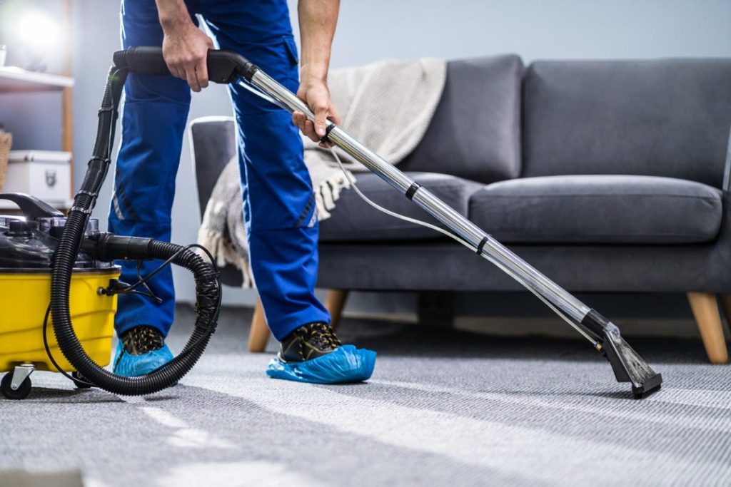 Driving Ants Off Effectively with the Right Pest Control Measures